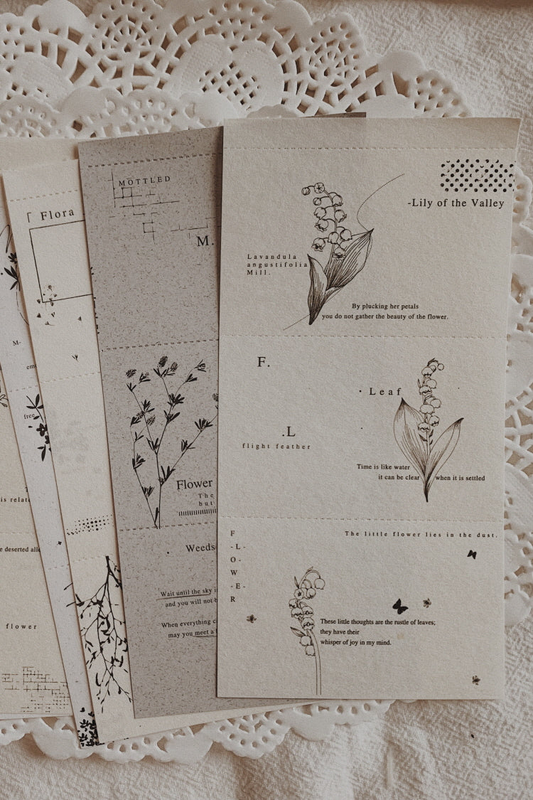 Lace & Botanicals Paper Set