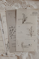 Lace & Botanicals Paper Set