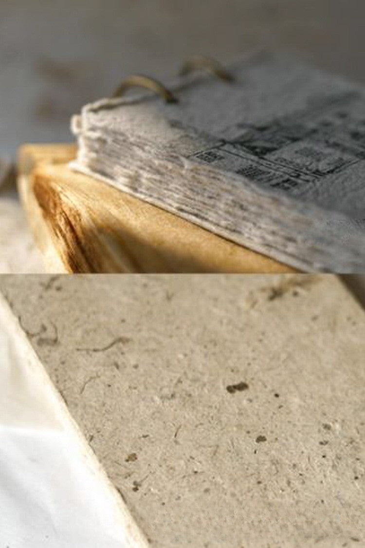 Pages from a Wanderer