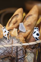 Starlit Tail Brooch Kit